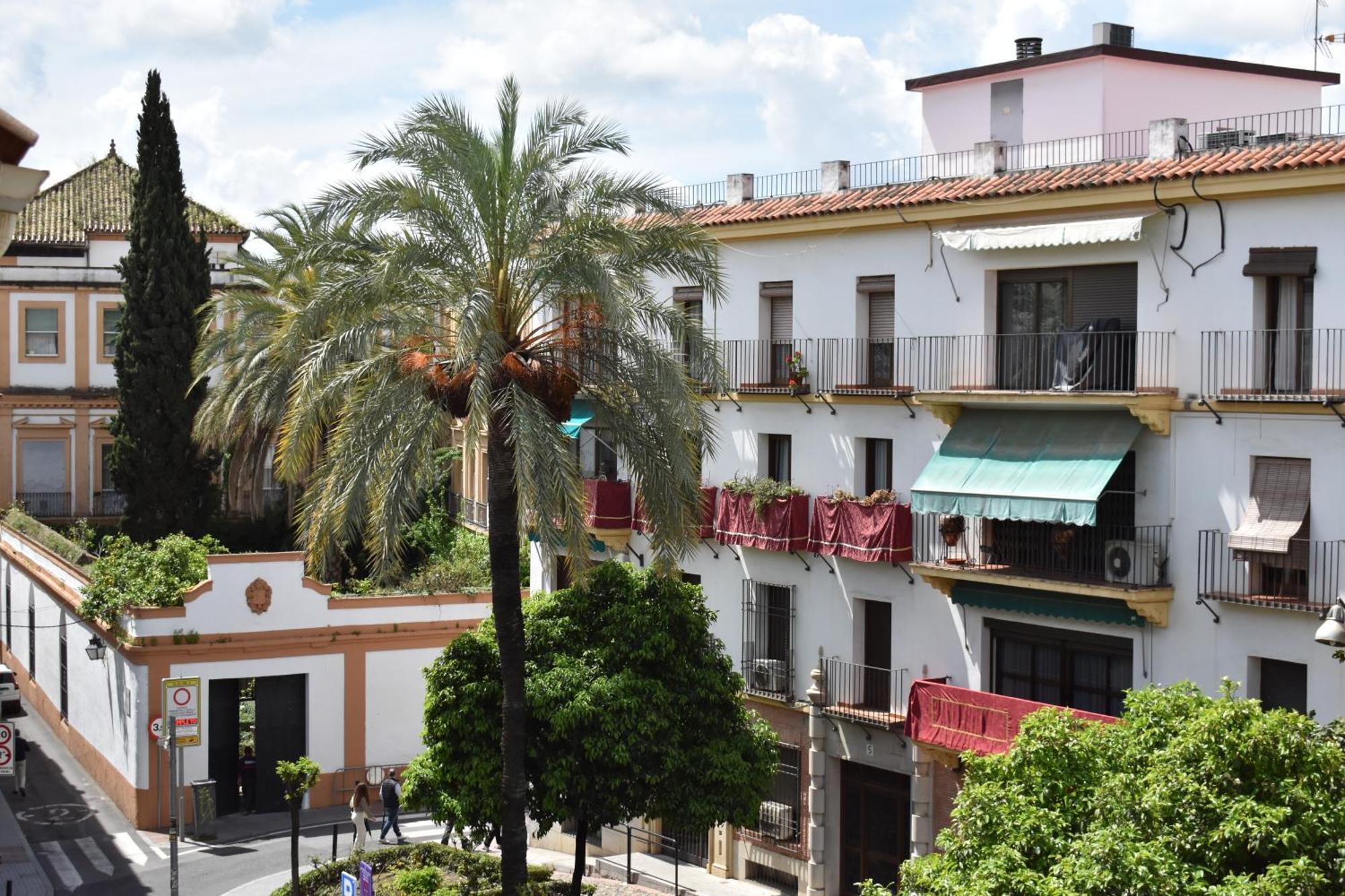 En El Centro Con Parking Y Terraza Apartamento *